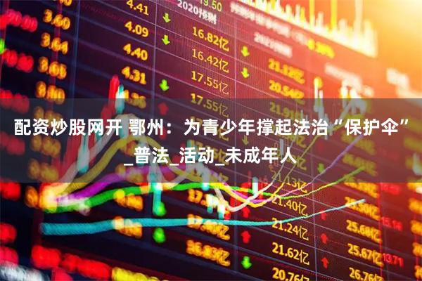 配资炒股网开 鄂州：为青少年撑起法治“保护伞”_普法_活动_未成年人